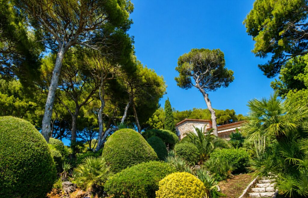 villa-luxe-saint-jean-cap-ferrat-jardin-mediterraneen
